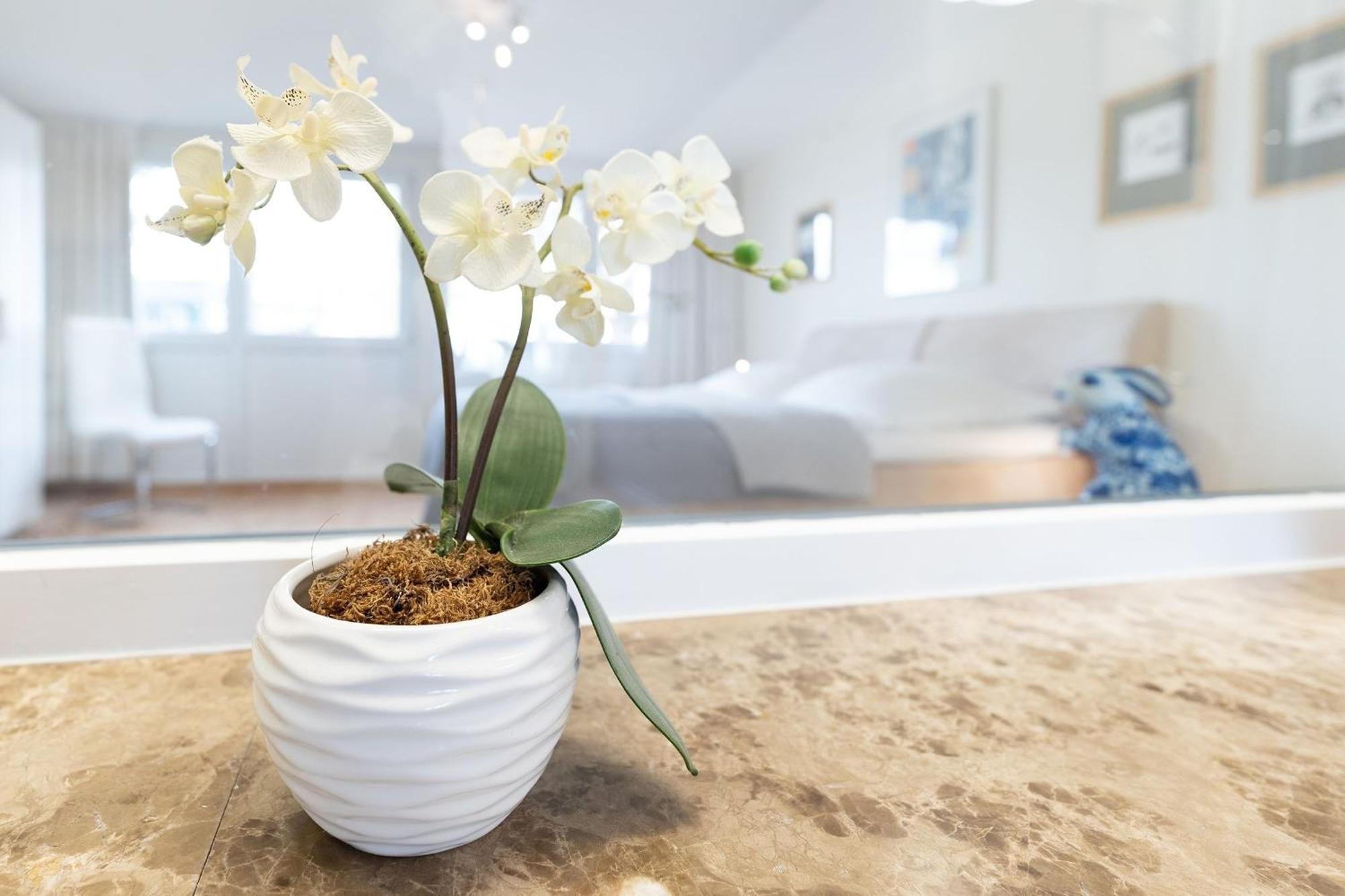 Haus Eva Mar Am Meer Appartement 1 Timmendorfer Strand Ngoại thất bức ảnh